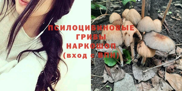 дмт Богородицк