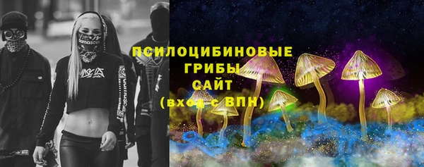 дмт Богородицк