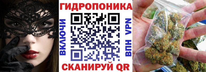 Канабис планчик  где купить наркоту  Краснообск 