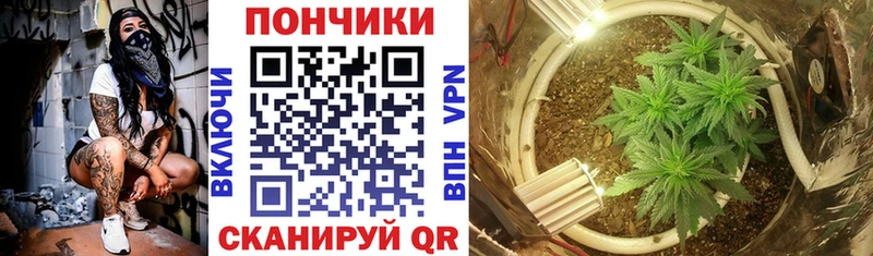Каннабис ГИДРОПОН Краснообск